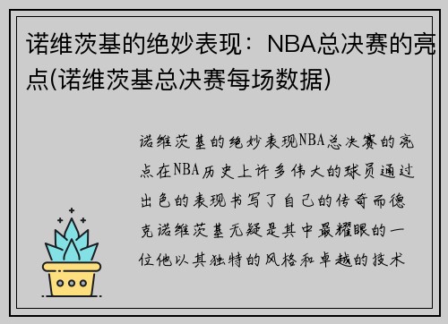 诺维茨基的绝妙表现：NBA总决赛的亮点(诺维茨基总决赛每场数据)